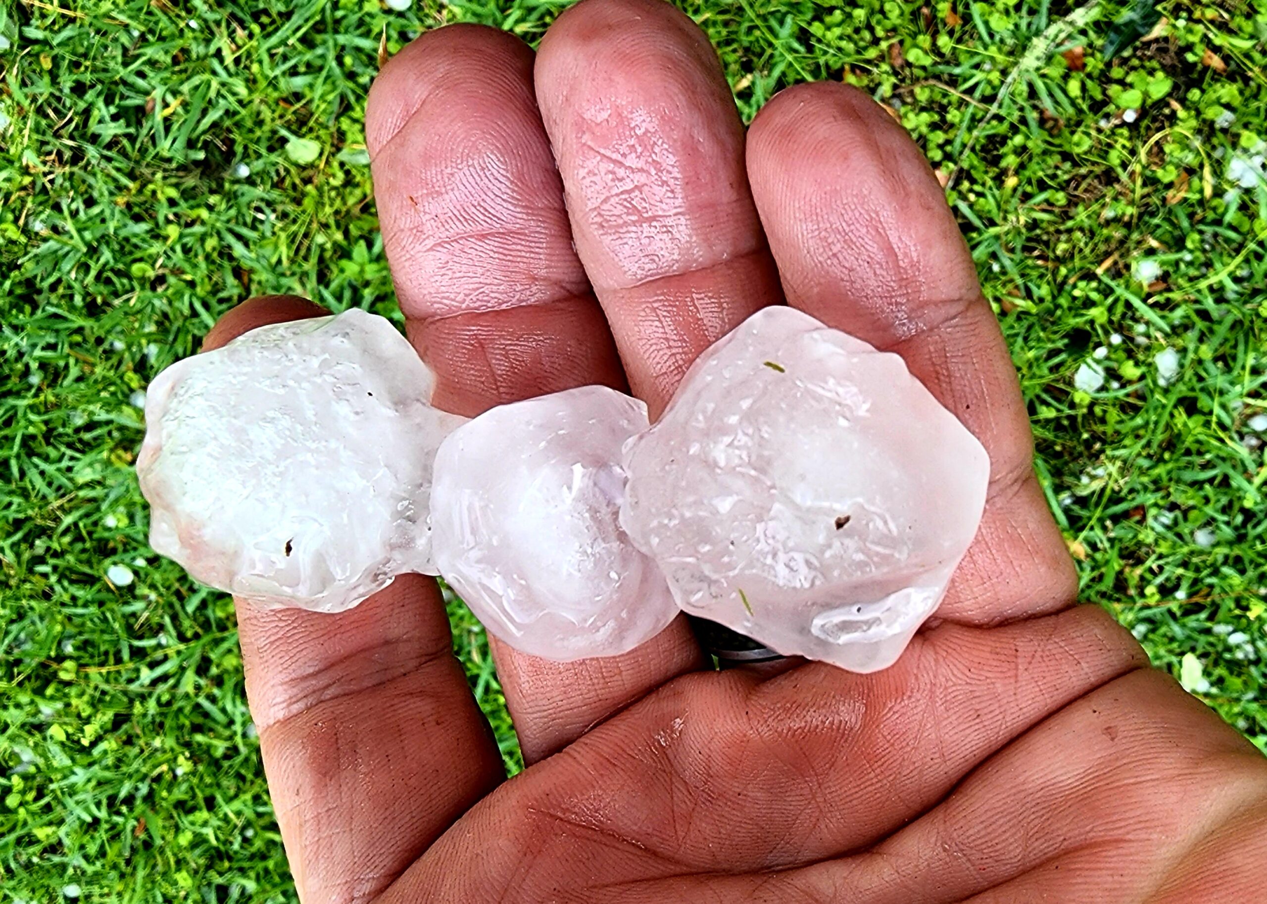 avatar_20220404_155523 hail repair